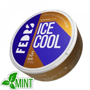 ICE COOL Mint 5 Nicotine Pouch