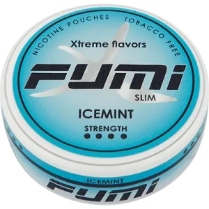 FUMI Icemint Nicotine Pouch