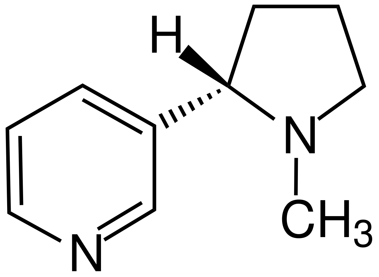 Nicotine Molecule